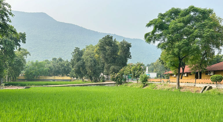 An aerial view of the sprawling 6 acre resort of Panchet Residency