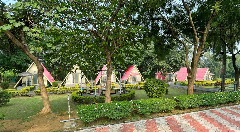 playground